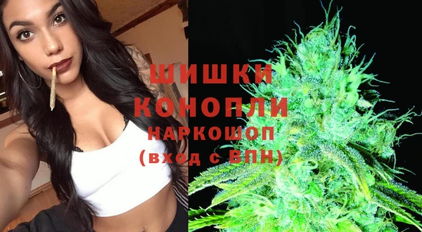 сатива Осинники