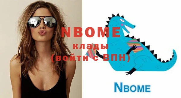 метадон Няндома