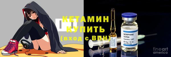сатива Осинники