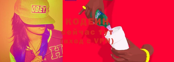 метадон Няндома
