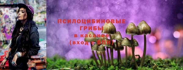 метадон Няндома
