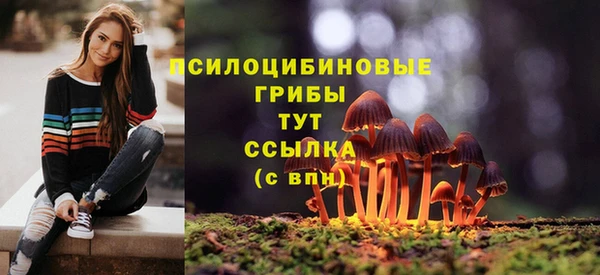 2c-b Нязепетровск