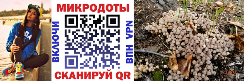 цена   Зеленогорск  kraken зеркало  Галлюциногенные грибы Psilocybine cubensis 