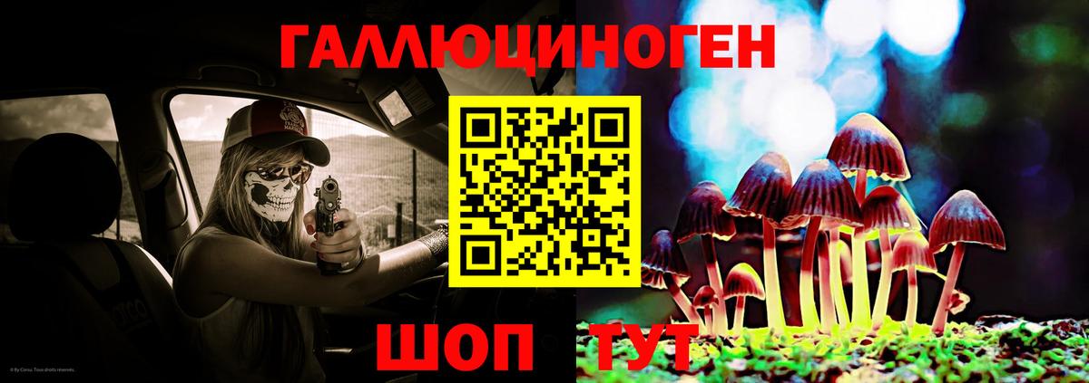 где купить наркоту  Галлюциногенные грибы Psilocybe  Зеленогорск  Галлюциногенные грибы мухоморы 