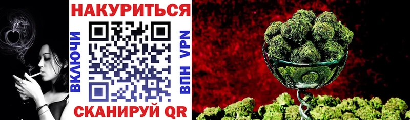даркнет как зайти  Зеленогорск  Каннабис индика 